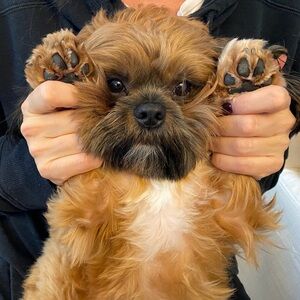 Meet your Posher, Kathryn